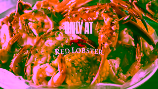 Red Lobster Seafood Boils just dropped for Crabfest steamy saucy and built for summer cravings Ad Commercial Brand Imagery Photoshoot 2