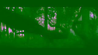 20th Century Studios Predator Badlands In Theaters November 7 Ad Commercial Brand Imagery Photoshoot 1