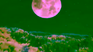 Pukka Herbs Pukka TVC 15s Ad Commercial Brand Imagery Photoshoot 1