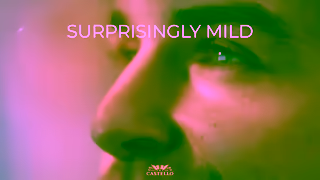 Castello Cheese New Castello Mild Blue 6 sec Delight Ad Commercial Brand Imagery Photoshoot 1