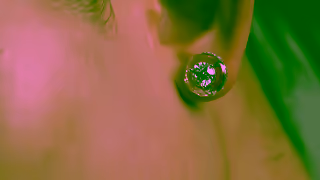 THE FUTURE ROCKS THE RING Reimagined Ad Commercial Brand Imagery Photoshoot 0