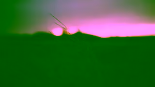 Creswick Woolen Mills Creswick Natural Sleep Catriona Rowntree Ad Commercial Brand Imagery Photoshoot 2