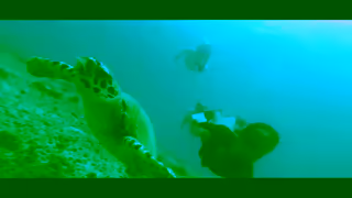 Visit Panama We Dare You To Seek Inspiration In Panam Ad Commercial Brand Imagery Photoshoot 0