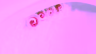 Henkel New Bloo Spa Moment Relaxing long lasting scent Ad Commercial Brand Imagery Photoshoot 1