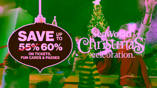 SeaWorld San Diego SWC24ChristmasCelebrationWondersMeetJoyBlackFridayPreSaleMULTISvUpTo60UrgencyYT30ENG Ad Commercial Brand Imagery Photoshoot 0