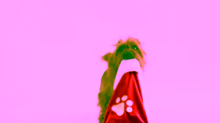 Kmart Kmart Low Prices for Life Christmas Gifting Ad Commercial Brand Imagery Photoshoot 2