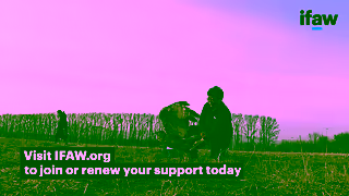 IFAW Rescue Rehabilitate Release Support IFAW Ad Commercial Brand Imagery Photoshoot 1