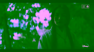 Disney Plus Shogun True Heart 15 Ad Commercial Brand Imagery Photoshoot 1