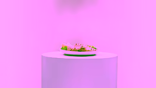 Aldi Bulk Chicken Breast ALDI AUSTRALIA Ad Commercial Brand Imagery Photoshoot 0