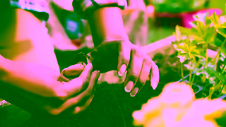 NEW-SKIN Bandage Gardening Hands NewSkin Loves Gardeners Ad Commercial Brand Imagery Photoshoot 0