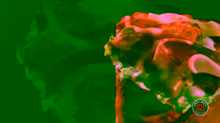 Jimmy John's Jimmy Johns Summer Blockbuster 15 Ad Commercial Brand Imagery Photoshoot 0