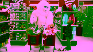 Michaels Stores Michaels Holiday Mythical 15 Ad Commercial Brand Imagery Photoshoot 2