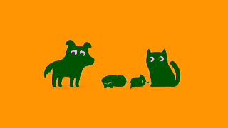 PetBarn ProBalance Dental Month Bad Breath Ad Commercial Brand Imagery Photoshoot 2