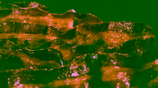 Burger King BK I Burger Maestro Ad Commercial Brand Imagery Photoshoot 1