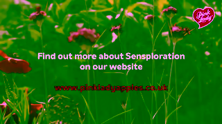 Pink Lady Apple Discover Sensploration Pink Lady apples Ad Commercial Brand Imagery Photoshoot 2