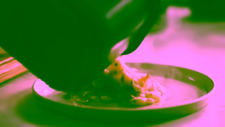 Tefal Jamie Oliver x Tefal Dual Easy Fry Grill Ad Commercial Brand Imagery Photoshoot 1