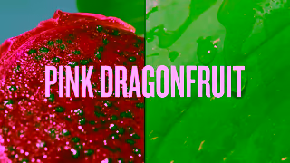 Sol de Janeiro Blooming Bright Ad Commercial Brand Imagery Photoshoot 1