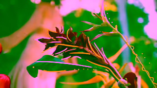 Sol de Janeiro Blooming Bright Ad Commercial Brand Imagery Photoshoot 2