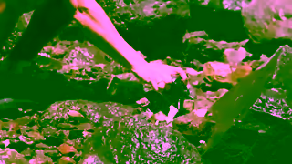 LUMIX LUMIX Reel 30s Ad Commercial Brand Imagery Photoshoot 2