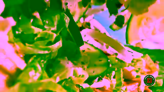 Jimmy John's Jimmy Johns Boat 15 Ad Commercial Brand Imagery Photoshoot 1