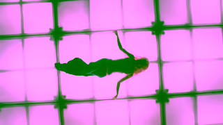 Cheap Monday Cheap Monday ft Nessa Barrett Ad Commercial Brand Imagery Photoshoot 0