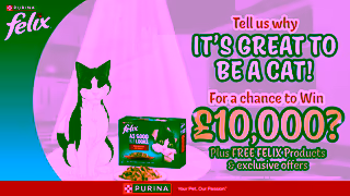 Purina Tell us why Its Great To Be A Cat Ad Commercial Brand Imagery Photoshoot 2