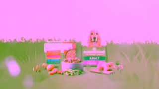 HARRINGTONS Harringtons TV Advert 2024 Yorkshire Terry Ad Commercial Brand Imagery Photoshoot 2