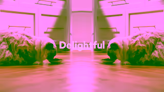 Chewy.com Chewy has sensational recipes from Fancy Feast Ad Commercial Brand Imagery Photoshoot 0