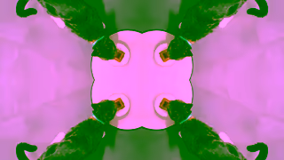 Chewy.com Chewy has sensational recipes from Fancy Feast Ad Commercial Brand Imagery Photoshoot 1