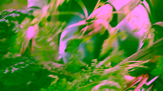 Yeo Valley Yeo Valley Soups Ad Commercial Brand Imagery Photoshoot 0