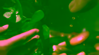 Campbell's F25 Campbells Masterbrand Video 6s ChickenNoodle 16x9 EN Ad Commercial Brand Imagery Photoshoot 1