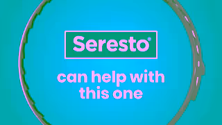 Elanco Fleas ticks suck Stop sucking with Seresto Dual 15s Ad Commercial Brand Imagery Photoshoot 1