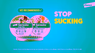 Elanco Fleas ticks suck Stop sucking with Seresto Dual 15s Ad Commercial Brand Imagery Photoshoot 2