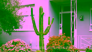 Specsavers 50 off all lens options Ad Commercial Brand Imagery Photoshoot 0