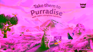 Whiskas Take them to PURRADISE Ad Commercial Brand Imagery Photoshoot 2