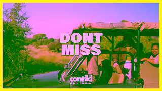 Contiki Cyber Sale Now On 6s V1 Ad Commercial Brand Imagery Photoshoot 1