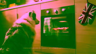 ANCHOR Dairy Anchor Squeezy 20s Ad Commercial Brand Imagery Photoshoot 1