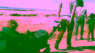 Veer Gear Veer We Are Not Strollers 30 Ad Commercial Brand Imagery Photoshoot 1