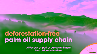 Ferrero Our approach to responsibly sourcing palm oil Quality at heart Ad Commercial Brand Imagery Photoshoot 0