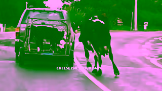 PETA Dont Take My Cheese Starring Edie Falco Ad Commercial Brand Imagery Photoshoot 2