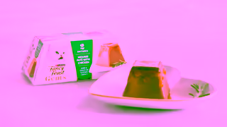 Purina A Ray of Light in Every Bite Cat Food that Shines Ad Commercial Brand Imagery Photoshoot 1