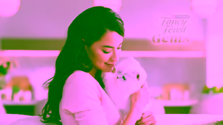 Purina A Ray of Light in Every Bite Cat Food that Shines Ad Commercial Brand Imagery Photoshoot 2