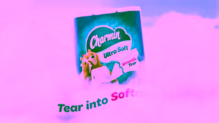 Charmin Reinventing the Square Charmin Ultra Soft 06 Ad Commercial Brand Imagery Photoshoot 2