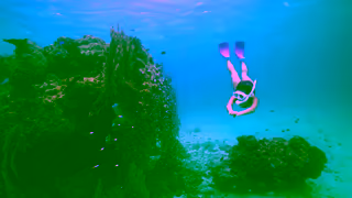 Visit Japan Enjoy my Japan BEAUTIFUL JAPAN JNTO Ad Commercial Brand Imagery Photoshoot 1