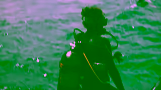 Dell Save Time with Dell AI PCs Ad Commercial Brand Imagery Photoshoot 2