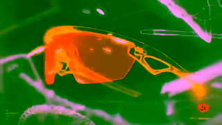 Oakley Oakley Inner Spark Sphaera 6s Ad Commercial Brand Imagery Photoshoot 0