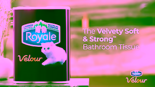 ROYALE Royale Bathroom Tissue Upgrade to our 40 Thicker Tissue Ad Commercial Brand Imagery Photoshoot 2