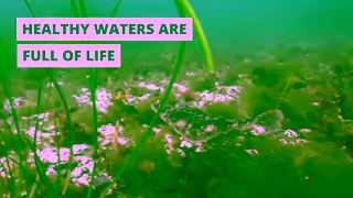 Oceans North Healthy Waters Are a Way of Life Ad Commercial Brand Imagery Photoshoot 1