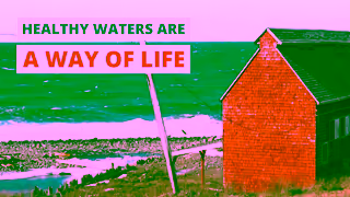 Oceans North Healthy Waters Are a Way of Life Ad Commercial Brand Imagery Photoshoot 2