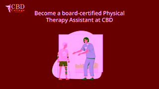 CBD College CBD Animated PTA 5 2023 30 seconds 2 Ad Commercial Brand Imagery Photoshoot 0